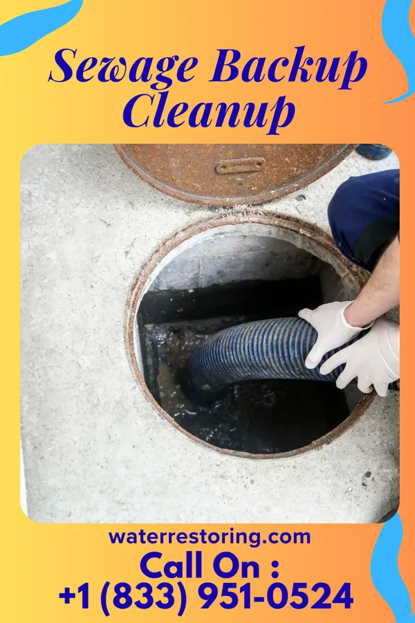 Sewage Backup Cleanup in Pleasant Hill, OH